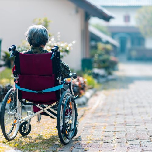 Wheelchair user